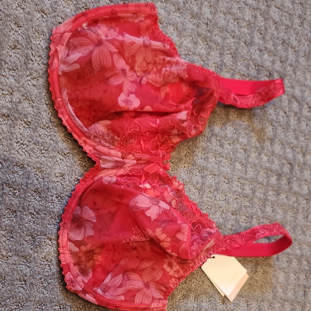 Prima Donna Rosalina Lace Bra in Lipstick Red
